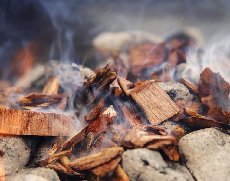 Best Barbeque Wood Chip Types